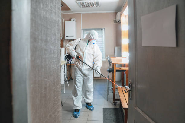 Reliable Barrington, IL Mold Removal Solutions