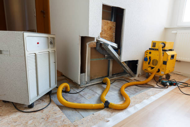 Mold Documentation for Insurance Claims in Barrington, IL